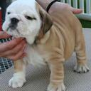 john hott - @johnhott62 - Twitter