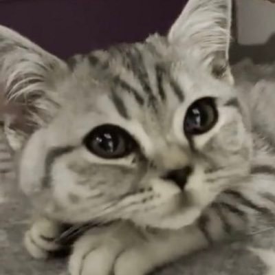 ptwtgc's profile picture. groupchat