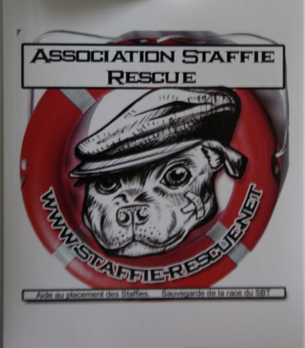 L'association Staffie a pour but d'aider au placement des Staffordshire Bull Terrier.

Merci à tous.