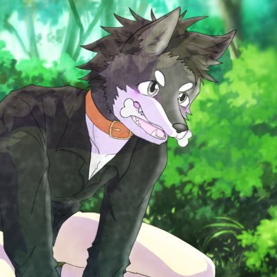 ふじのきさんのプロフィール画像