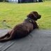 Emmylou en Gijs (@emmylou_gijs) Twitter profile photo Emmylou en Gijs (@emmylou_gijs) Twitter profile photo