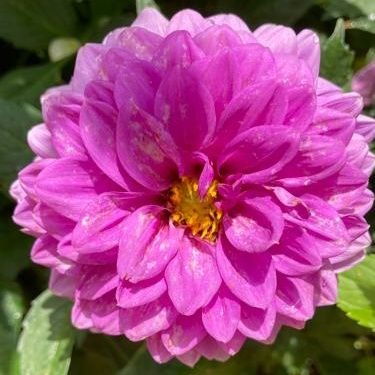 SevalUcaner's profile picture. 