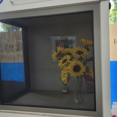 np2WPkx9rULe4Bt's profile picture. 