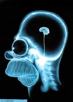 wparctan's profile picture. 