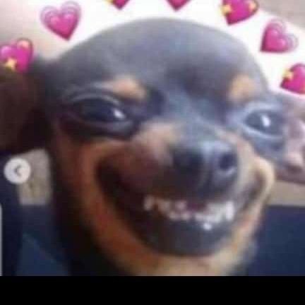 SamNjeri726's profile picture. Mind-reader