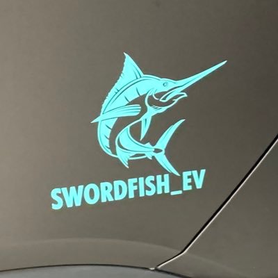 swordfish_ev's profile picture. Swordfish_EV / Founder & Organizer Volkswagen ID. TREFFEN / Daniel Ott: Electromobility enthusiast, content creator, influencer.