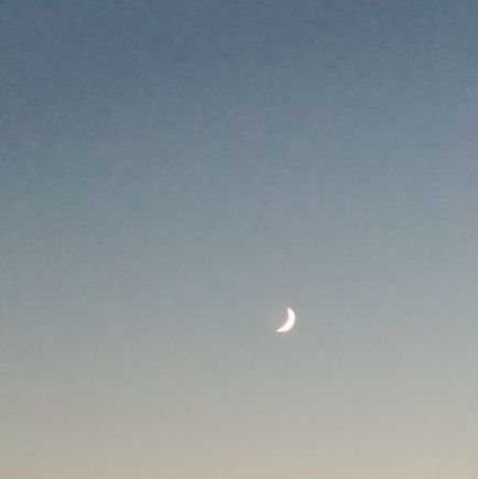 jonevgo's profile picture. studying for English C2💫 sharing progress, thoughts and information💫 looking to connect with other people