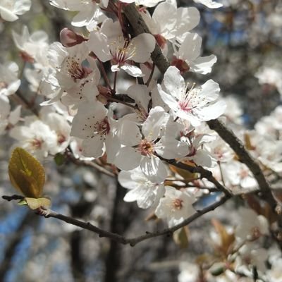 DTDMVNUmqHNb3GZ's profile picture. 