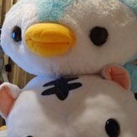 まちゃぴろ@中小企業診断士試験勉強再開 (@qfmzdkrrapdetdh) 's Twitter Profile