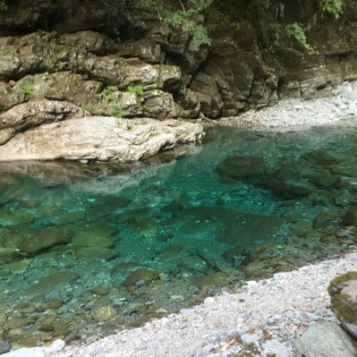 DhTfar's profile picture. 成人済　取引用