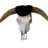 azanthology's profile image