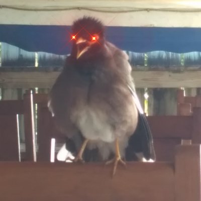 cryptobaba123's profile picture. I love crypto and animals. 
Here to learn.