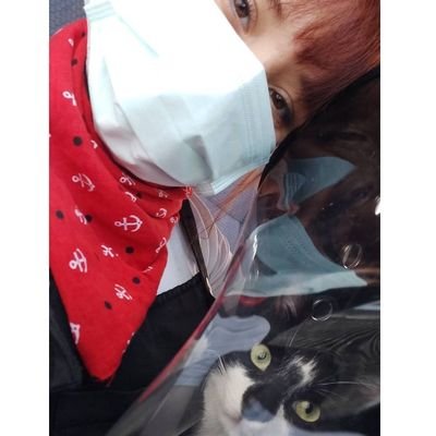 BetulKrsnc's profile picture. 