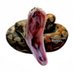 Hell Creek Reptiles (@morphwizard) Twitter profile photo Hell Creek Reptiles (@morphwizard) Twitter profile photo