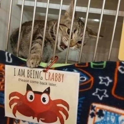 nigewyatt's profile picture. 