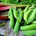 Harpers Lane Allotments (@hlallotments) Twitter profile photo Harpers Lane Allotments (@hlallotments) Twitter profile photo
