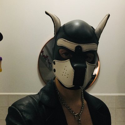 Pup Beam 🔞NSFW Profile