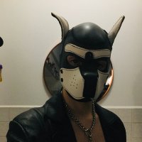 Pup Beam 🔞NSFW (@switchfrench) 's Twitter Profile