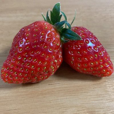 semam_aros's profile picture. コロナ関係の情報収集のためにTwitter始めました。子供を守りたい！安心して送り出せる環境になって欲しい！！