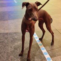 Oli (@paininthearse) 's Twitter Profile Photo Oli (@paininthearse) 's Twitter Profile Photo