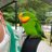 動物大好きおじさんのアイコン