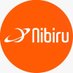 Nibiru - Sociedad Astronómica Profile picture