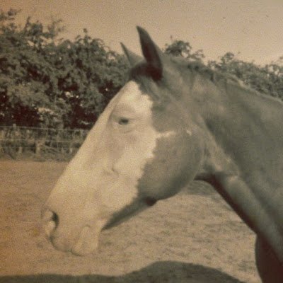 Penny Pony