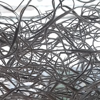 MMcilfatrick's profile picture. wandering & weaving with words; drawn to roots & seeds, the unseen & the overlooked; translating & writing poetry. belong between. often astray.