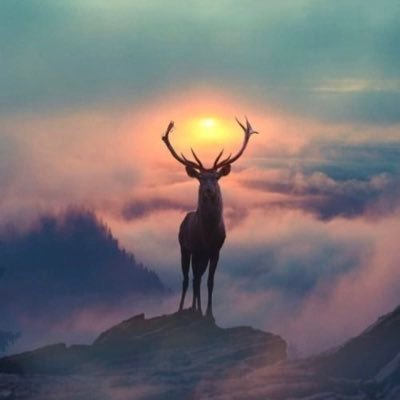 uo0ou8's profile picture. لأجل حلمٍ نمـا فيني تصيّرني العزيمه جبـال وأشوف القيض لا جاني ربيع أخضر بـ أعشابه 🌿.