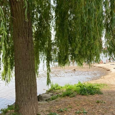 macminipro's profile picture. 