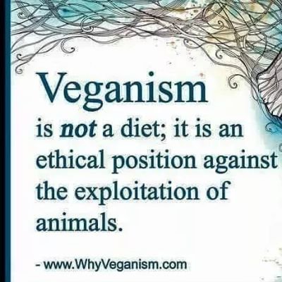 Animal Liberationist, Vegan Activist