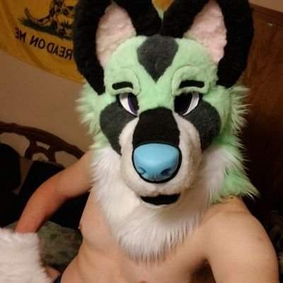 NSFW AD space of a 34 y.o. coyote from OK -💚💚Engaged/Closed by an amazing Kitty💚💚- 🔞18+!!! NO MINORS!!!🔞 - Trust me, I'm more of a tease. I'm not easy.