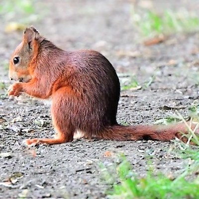 married, 2 children, loves nature and its wildlife,
📷 Lumix and Nikon d500