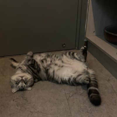 JackEverglow's profile picture.