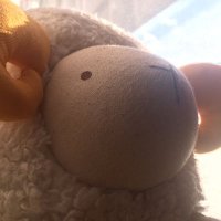 cyren (@_cyren) 's Twitter Profile