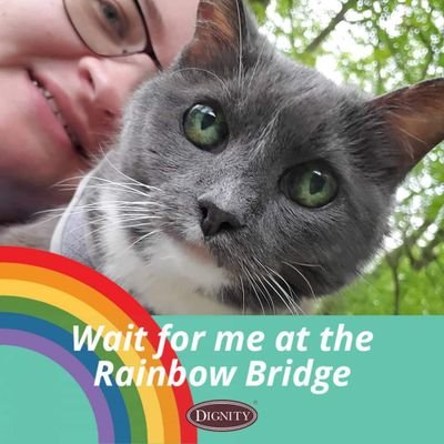 carebearcs82's profile picture. ✝️ 📸  Lover of animals,📚 & British 📺. Miss Barney,Marty,Little Bit, Joey, Nana, Otis, Penny &🌈 🌉pets. Owned by Trixie,Peanut,Buddy & Leo.Feral Cat Advocate