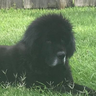 EdithCalvert123's profile picture. 