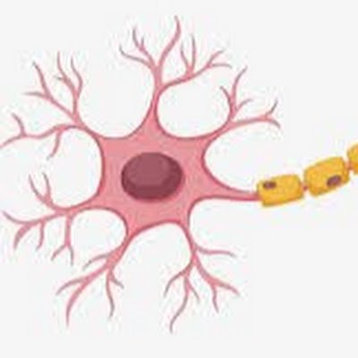 JiangXW_acad's profile picture. Go for the messes - that's where the action is. | BCI/BMI and neuroscience |BS in HENU, MSE in UPenn, PhD in UTS|