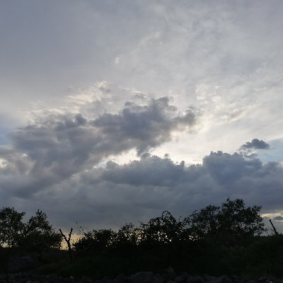 siguehdz9203451's profile picture. 