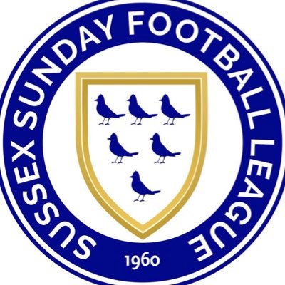 Sussex Sunday Football League Profile