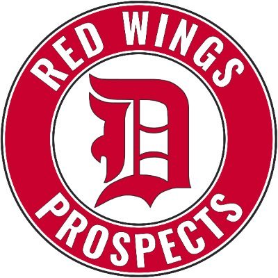 Updates on Detroit Red Wings prospects.