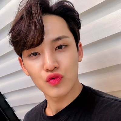 a mingyu love bot — 20 she|her