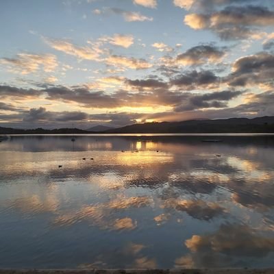 Lynne Paterson Profile