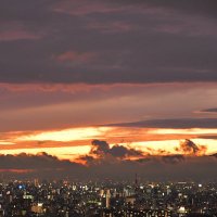 生駒山麓の住人 (@ikomawan) 's Twitter Profile