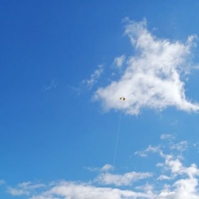 physicswild's profile picture. 