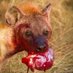 ⋆⋅🦎⋆˚💔˚⋆🕊⋅⋆ (@wildflwrwldfire) Twitter profile photo ⋆⋅🦎⋆˚💔˚⋆🕊⋅⋆ (@wildflwrwldfire) Twitter profile photo