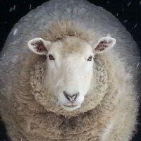 あきひろ (@taurus_mucky) 's Twitter Profile