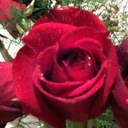 Angela Witt - @blu_eyed_ - Twitter