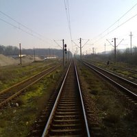 zofulet (@zofulet) 's Twitter Profile