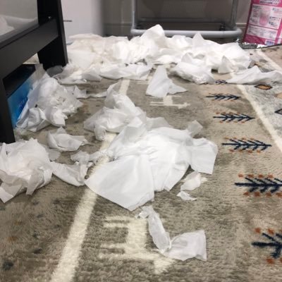 xjg00ix5AOkS5ho's profile picture. 平成中期文化の会社と11月から復職決定！育休中のママ垢です。2020.10.5 男の子ベビー👶 育児、家庭等ストレス吐き出しアカウント( ^ω^ ) 無言フォロー&いいね！大歓迎ですが、勧誘系はNGで。